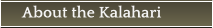 About the Kalahari