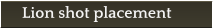 Lion shot placement