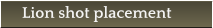 Lion shot placement