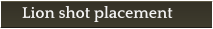 Lion shot placement