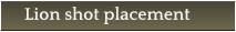 Lion shot placement