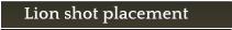 Lion shot placement