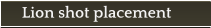 Lion shot placement
