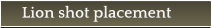 Lion shot placement